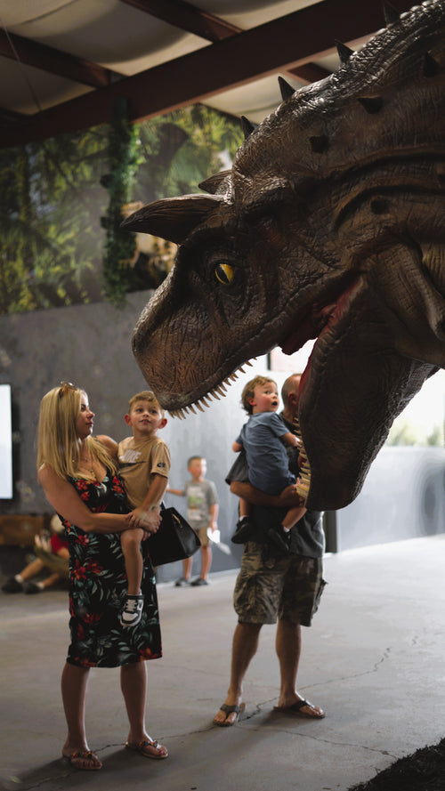 LOST WORLD Birthday Party